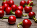 25 Heirloom Cherry Hot Pepper Seeds – Spicy Garden Vegetable