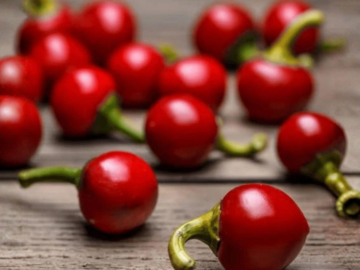 25 Heirloom Cherry Hot Pepper Seeds – Spicy Garden Vegetable
