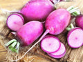 Triton Purple Stem Radish Seeds – 100 Fast Growing Seeds for Planting
