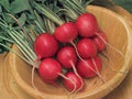 100 Cherry Belle Radish Seeds – Heirloom Red, Fast Growing