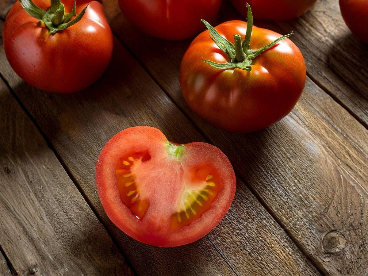 Floradel Tomato Seeds – 30 Heat Tolerant Heirloom Slicing Tomato Seeds