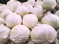 Blanco Duro Onion Seeds – White Storage Onion Heirloom – 50 Seeds
