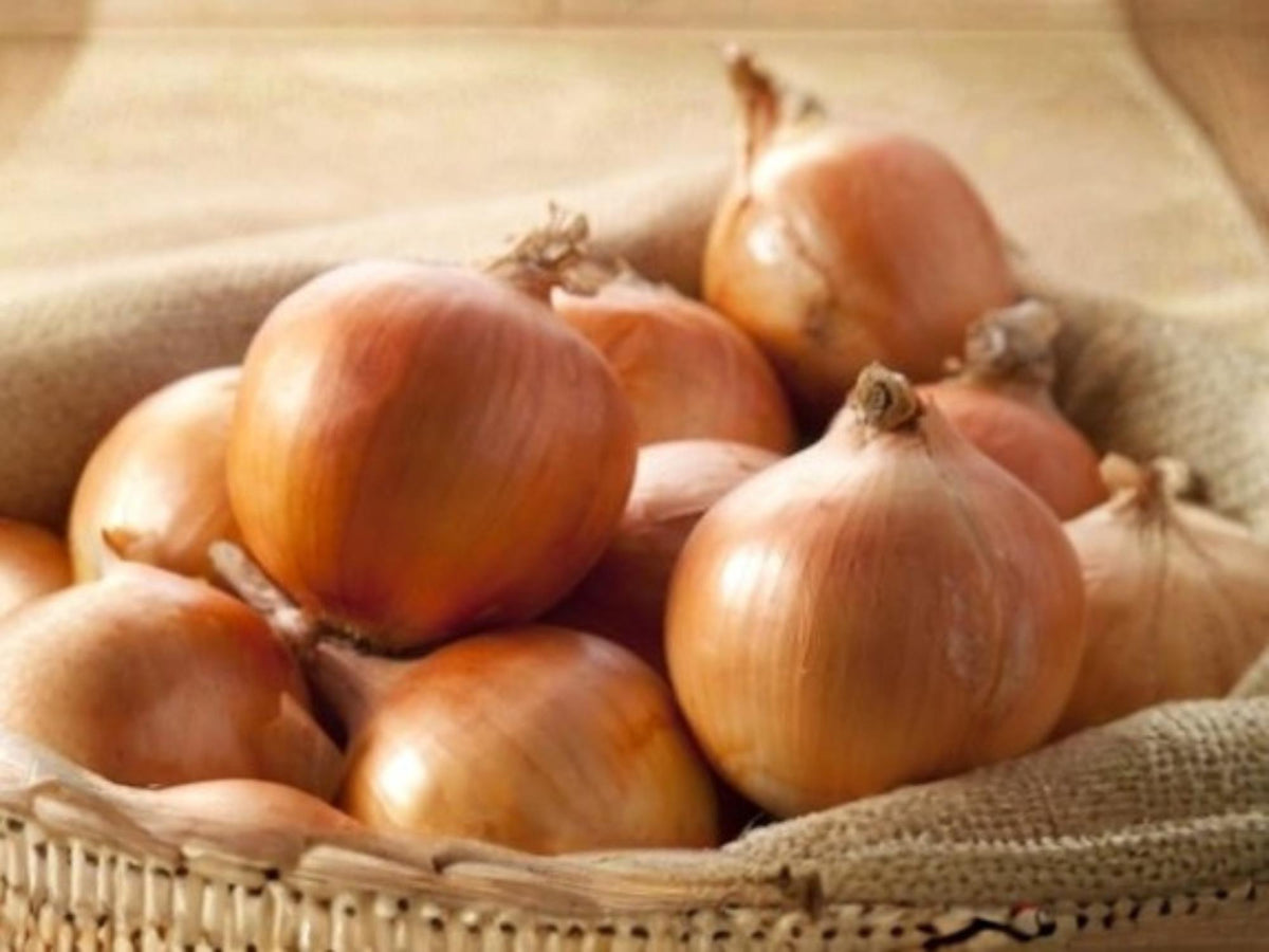 50 Burrell's Yellow Valencia Onion Seeds - Heirloom Garden Vegetable