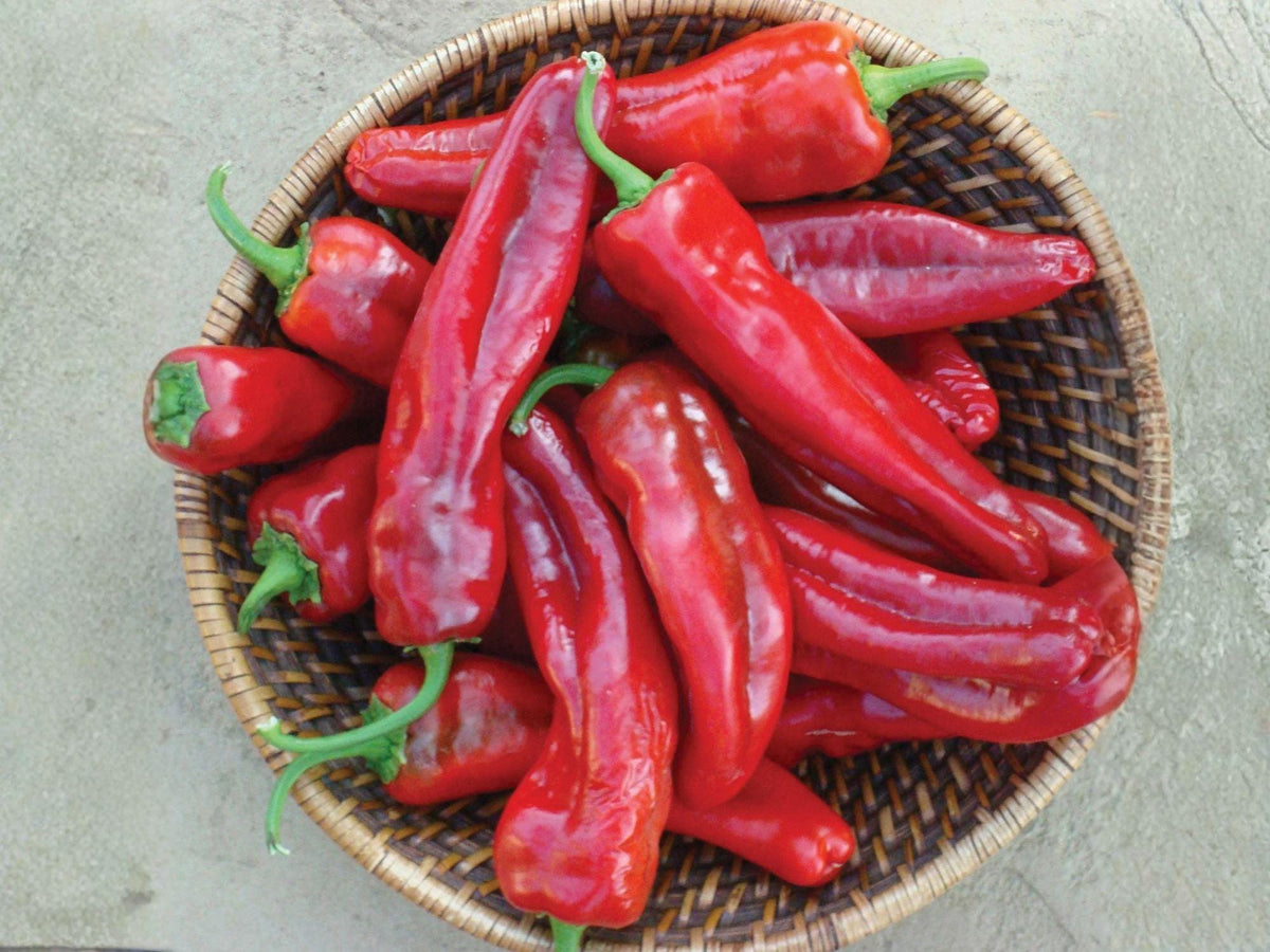 Giant Marconi Red Pepper Seeds – 25 Heirloom Italian Sweet Pepper Seeds