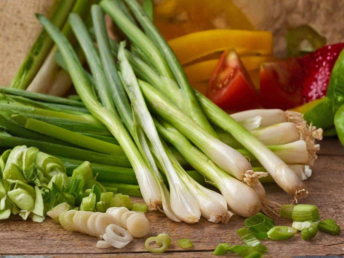 White Lisbon Green Onion Seeds – 50 Heirloom Bunching Onion Seeds for Planting