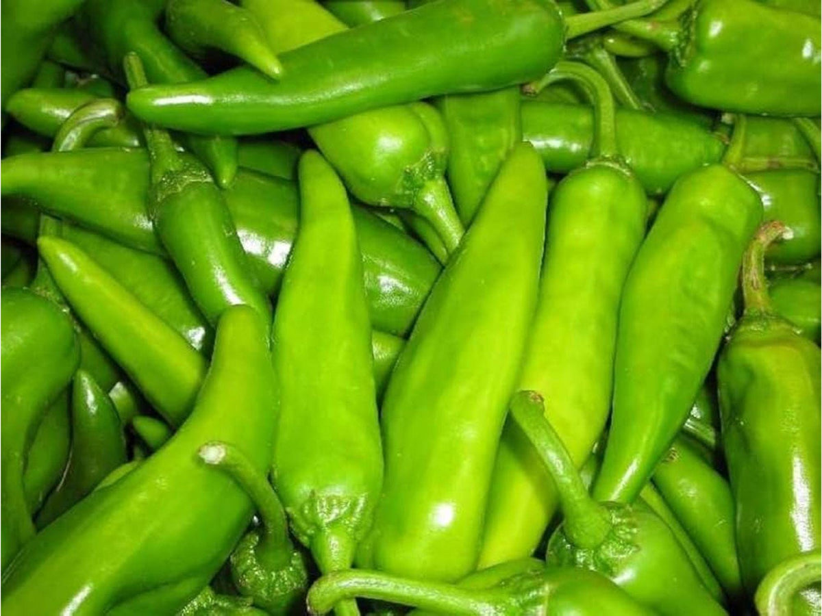 25 Lumbre Hot Pepper Seeds – Heirloom Chili, High Heat