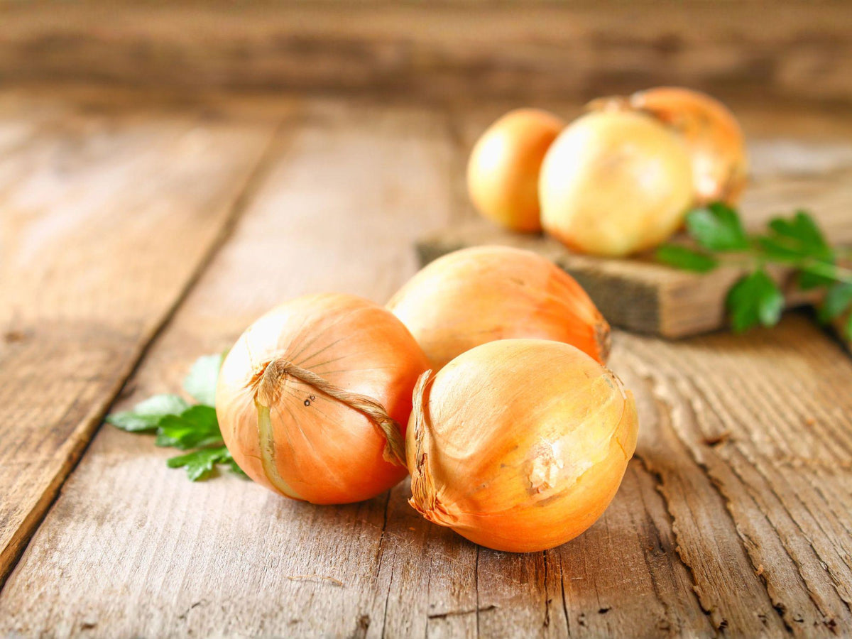 50 Utah Yellow Sweet Spanish Onion Seeds – Heirloom Mild Flavor