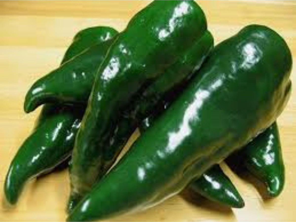25 Ancho Poblano Pepper Seeds – Heirloom Mild Hot Chili for Roasting