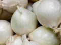 Onion Ringmaster – 50 Vegetable Seeds, Sweet Storage Onion for Home Garden