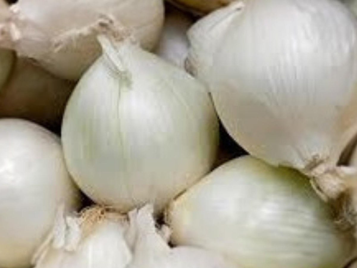 Onion Ringmaster – 50 Vegetable Seeds, Sweet Storage Onion for Home Garden