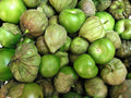Tomatillo Verde 30 Seeds – Green Salsa Vegetable for Home Garden