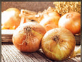 Walla Walla Sweet Onion Seeds – 50 Seeds – Large Mild Heirloom Bulbs for the Vegetable Garden