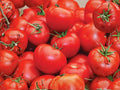 Floradel Tomato Seeds – Heat Tolerant Heirloom Slicing Tomato – 30 Seeds