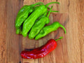 Pepperoncini Seeds – Italian Sweet Pepper – Mild Pickling Heirloom – 25 Seeds
