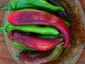 25 Sonora Pepper Seeds - Mild Hot Chili, Southwestern Heirloom