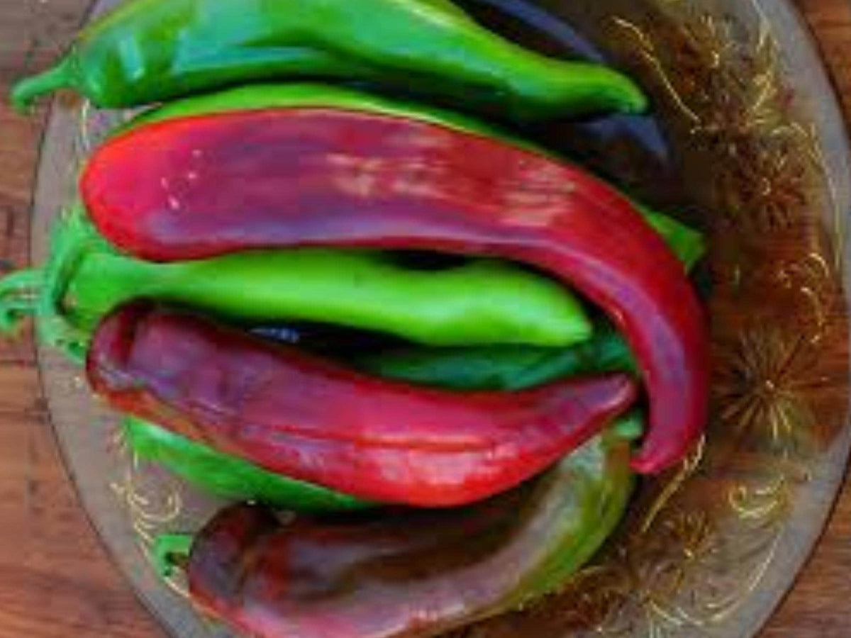 25 Sonora Pepper Seeds - Mild Hot Chili, Southwestern Heirloom