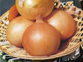 Texas Grano 502 Onion Seeds – Sweet Yellow Short Day Heirloom – 50 Seeds
