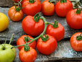 Rutgers Tomato Seeds – Classic Slicing Heirloom – 30 Seeds