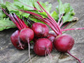 Detroit Dark Red Beet Seeds – 500 Heirloom Vegetable Garden Seeds for Planting