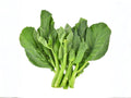 Kailaan Chinese Broccoli Seeds – 300 Open Pollinated Gai Lan