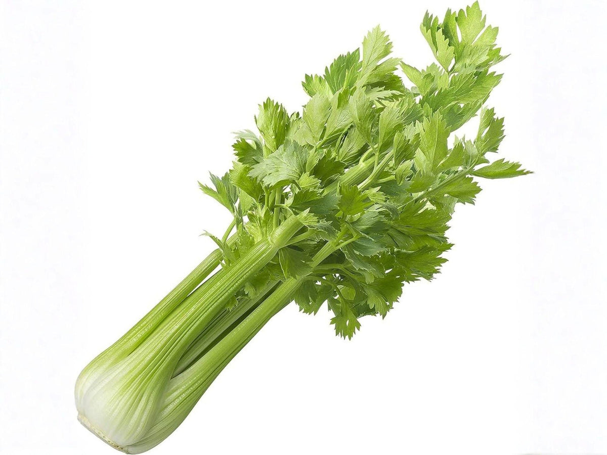 Tall Utah Celery Seeds – 2000 Heirloom Seeds for Crisp Green Stalks