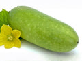 Wax Gourd Seeds – 10 Winter Melon Heirloom Seeds for Planting