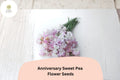 Anniversary Sweet Pea Seeds – Pink Climbing Flower, 50 Garden Planting Seeds