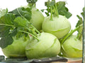 White Vienna Kohlrabi Seeds – 100 Heirloom Vegetable Seeds for Spring & Fall Garden
