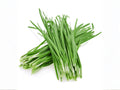 Flowering Chinese Leek Seeds – Garlic Chives for Herb Garden, Edible Perennial Vegetable