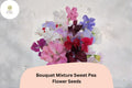 Bouquet Mixture Sweet Pea Seeds 50 | Lathyrus odoratus Fragrant Climbing Flowers