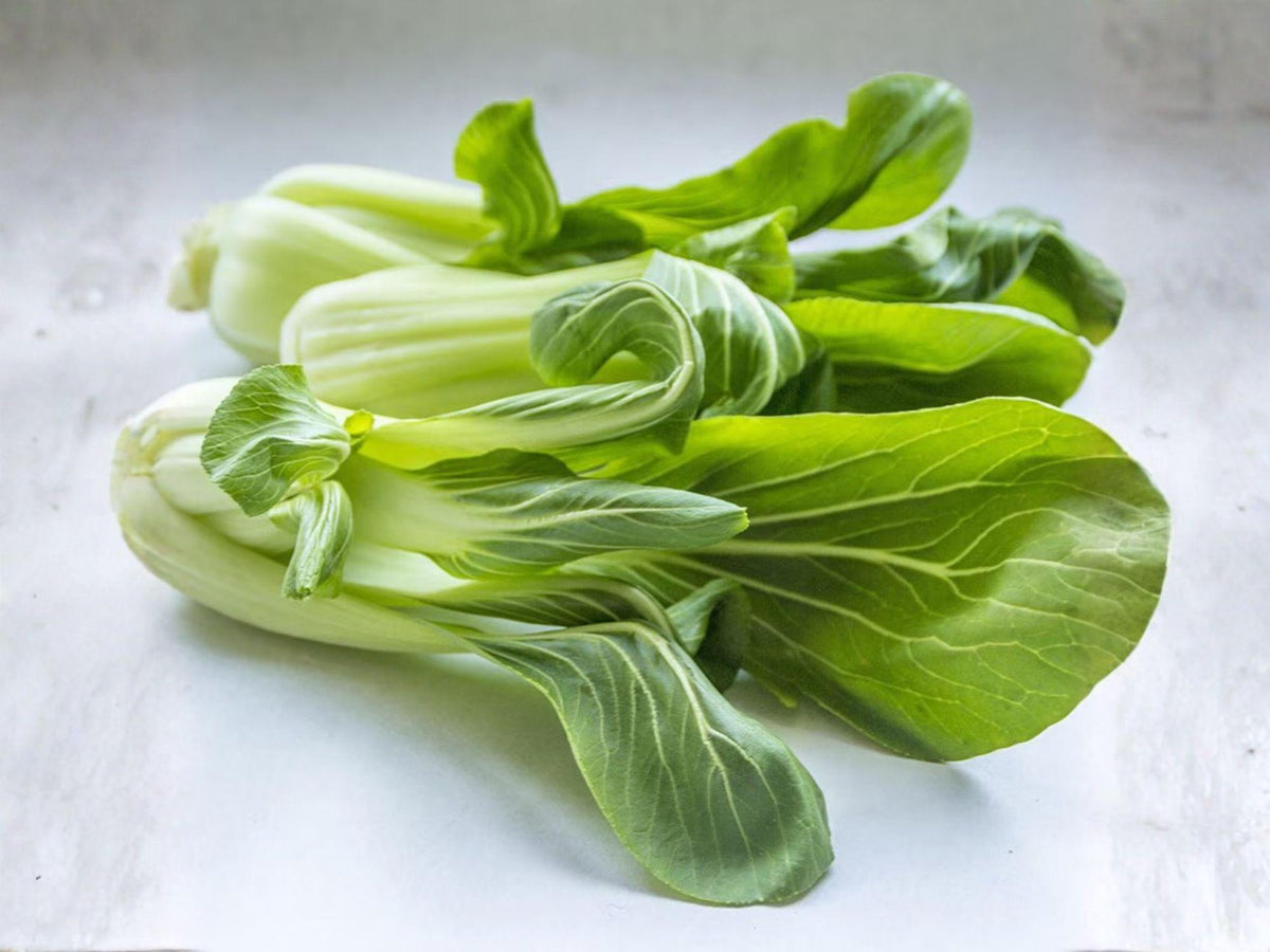 Fun Jen Frilly Leaf Pak Choi Seeds – 100 Hybrid Baby Bok Choy Asian Greens