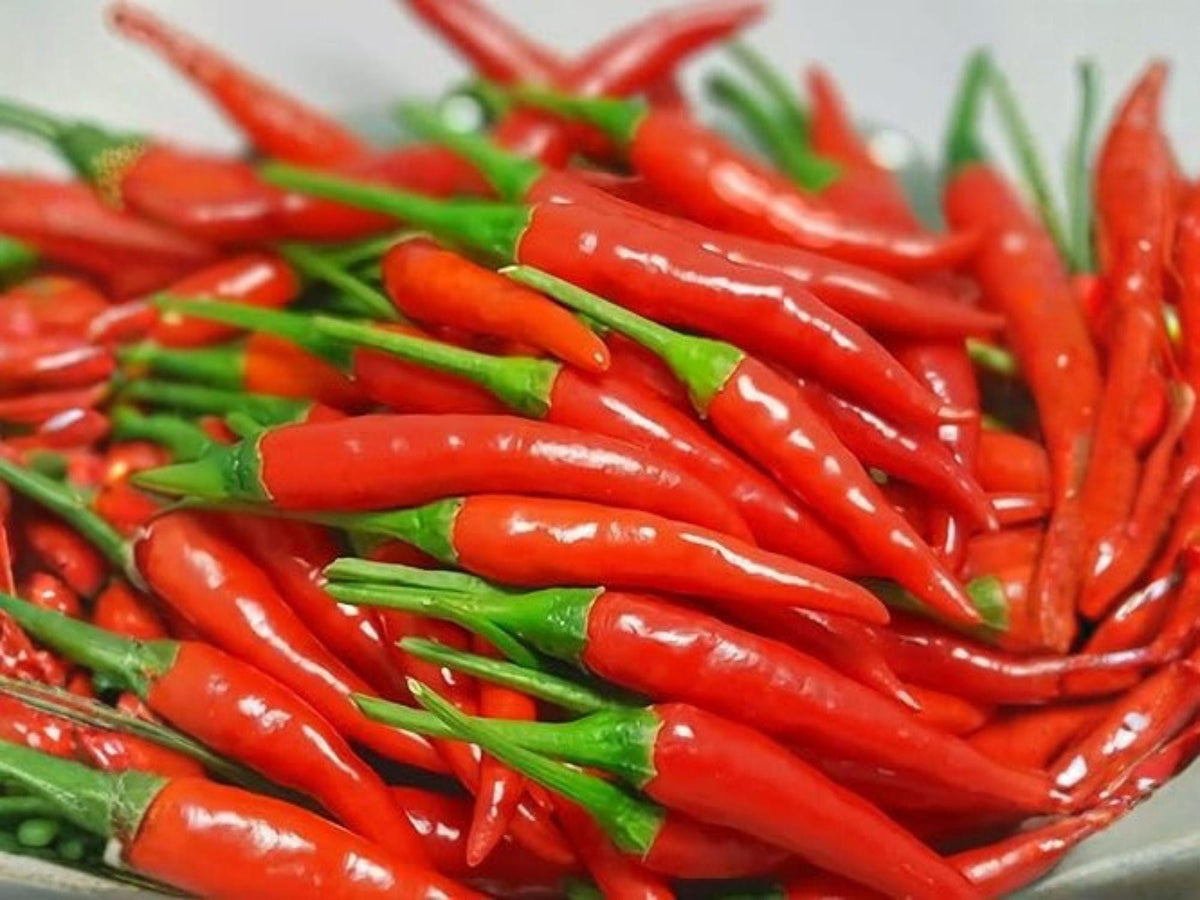 Thai Hot Pepper Seeds 25 Count – Capsicum frutescens Asian Chili