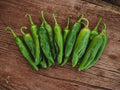 Sonora Mild Hot Pepper Seeds – 25 Heirloom Chili Garden Seeds