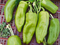 25 Cubanelle Sweet Pepper Seeds – Heirloom Italian Frying Pepper, Mild Yellow Green