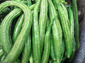 Snake Gourd Seeds – 10 Heirloom Lagenaria Siceraria Long Vine Vegetable Seeds