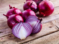 Red Burgundy Onion Seeds – Heirloom Sweet Vegetable for Southern Gardens (50 Seeds)