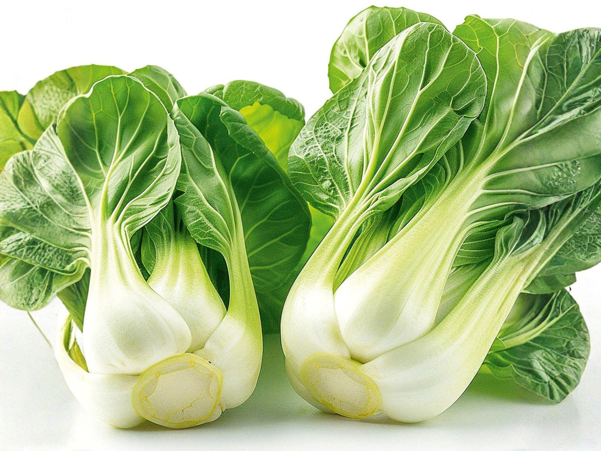 White Stem Pak Choi Seeds – 500 Bok Choy Chinese Cabbage Garden Seeds