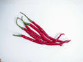 Red Long Cayenne Pepper Seeds – Heirloom Hot Chili for Vegetable Gardens (25 Seeds)
