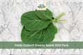 500 Seeds Vates Collard Greens Heirloom Vegetable Garden Greens