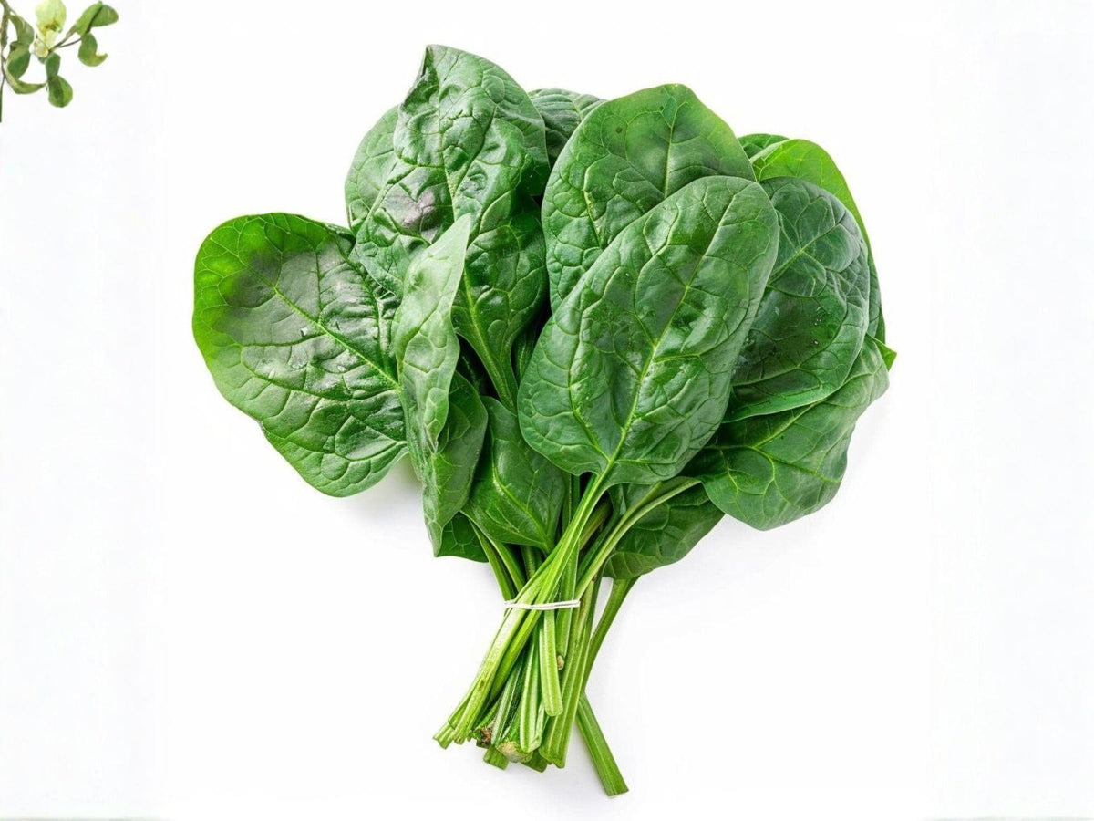 Viroflay Spinach Seeds – Heirloom French Large Leaf Spinach (100 Seeds)