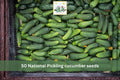 50 Seeds National Pickling Cucumber Heirloom Vegetable Garden