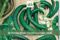 10 Seeds Chinese Snake Curved Cucumber Long Asian Heirloom Cucumis sativus Garden