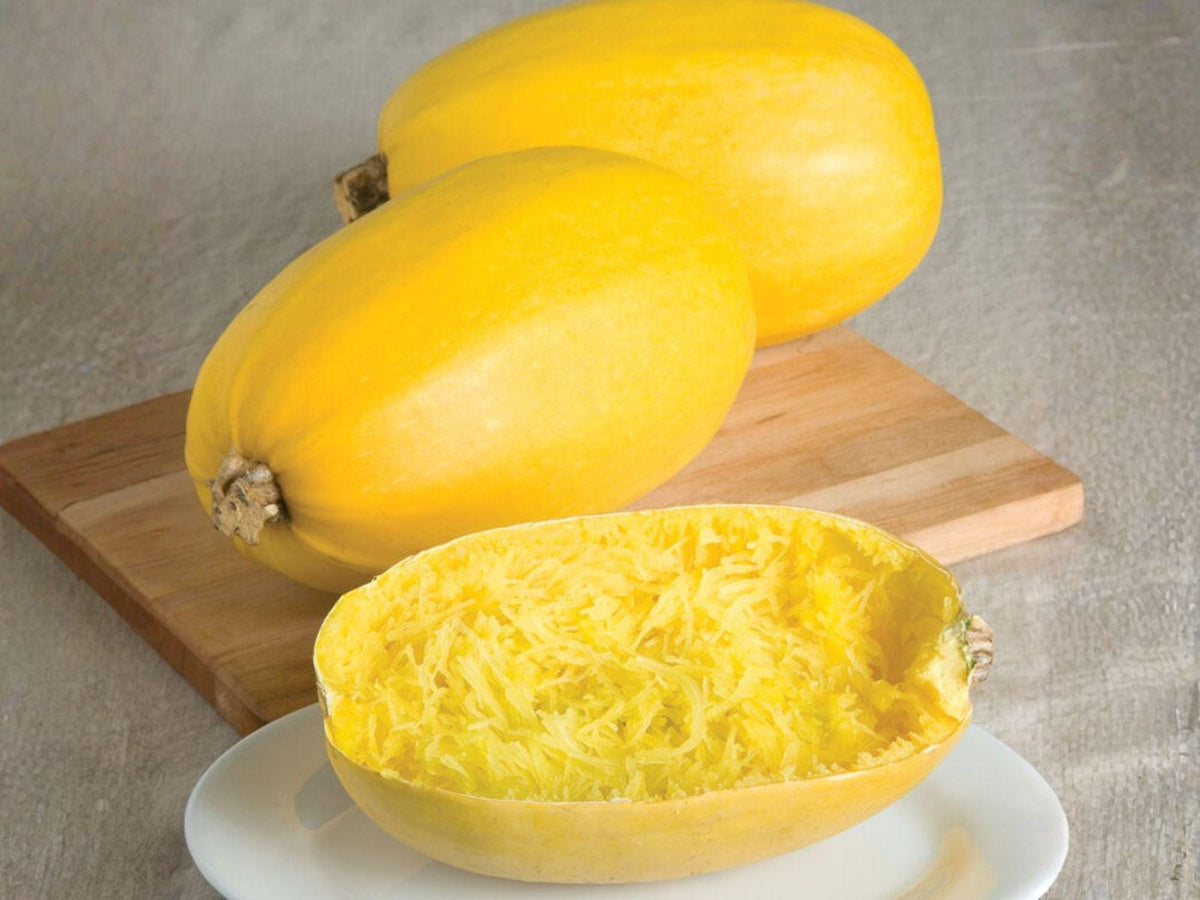 Spaghetti Squash Seeds – 10 Winter Vegetable Seeds for Planting
