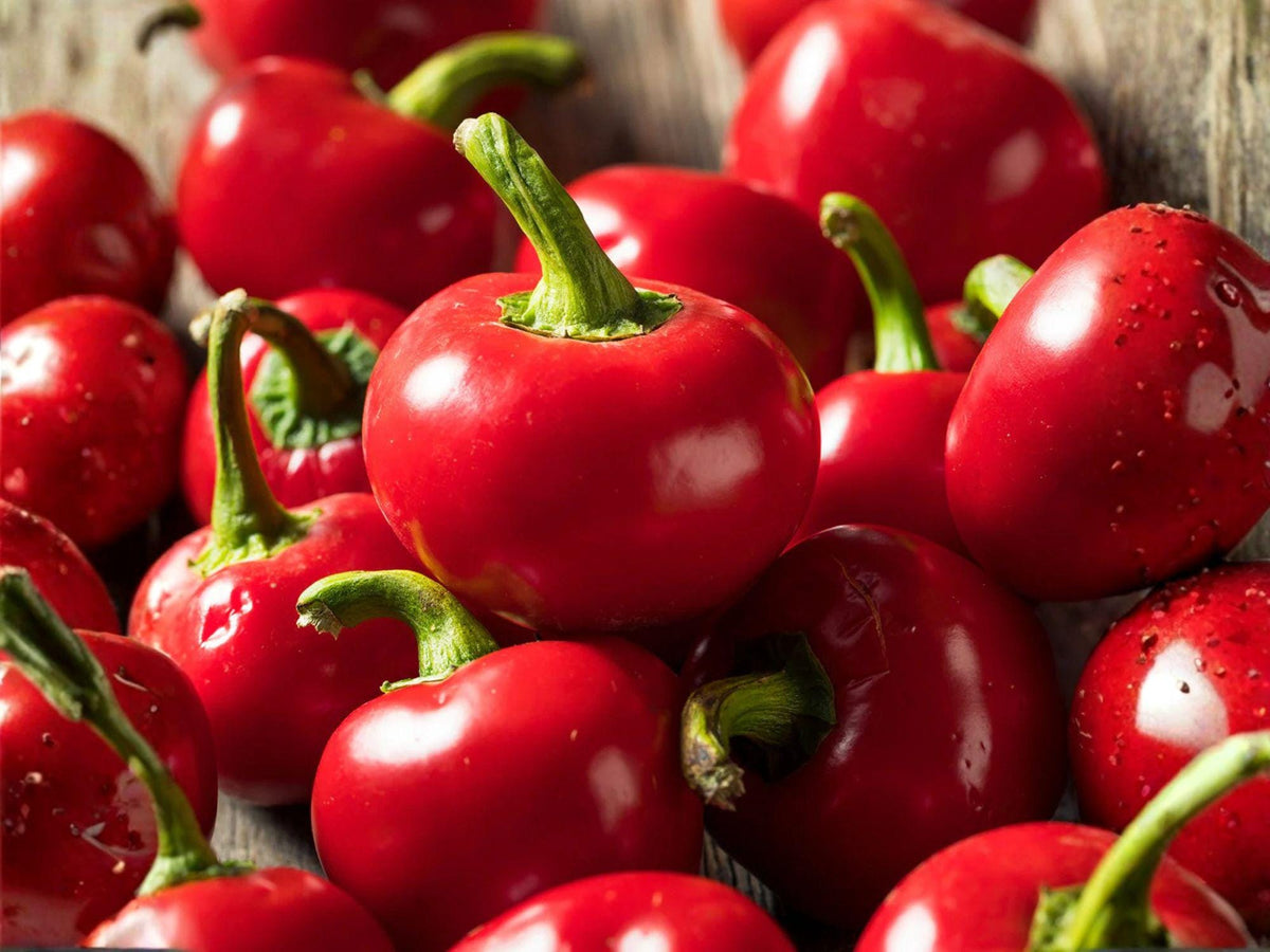 Large Hot Cherry Pepper Seeds – 25 Spicy Garden Seeds for Planting