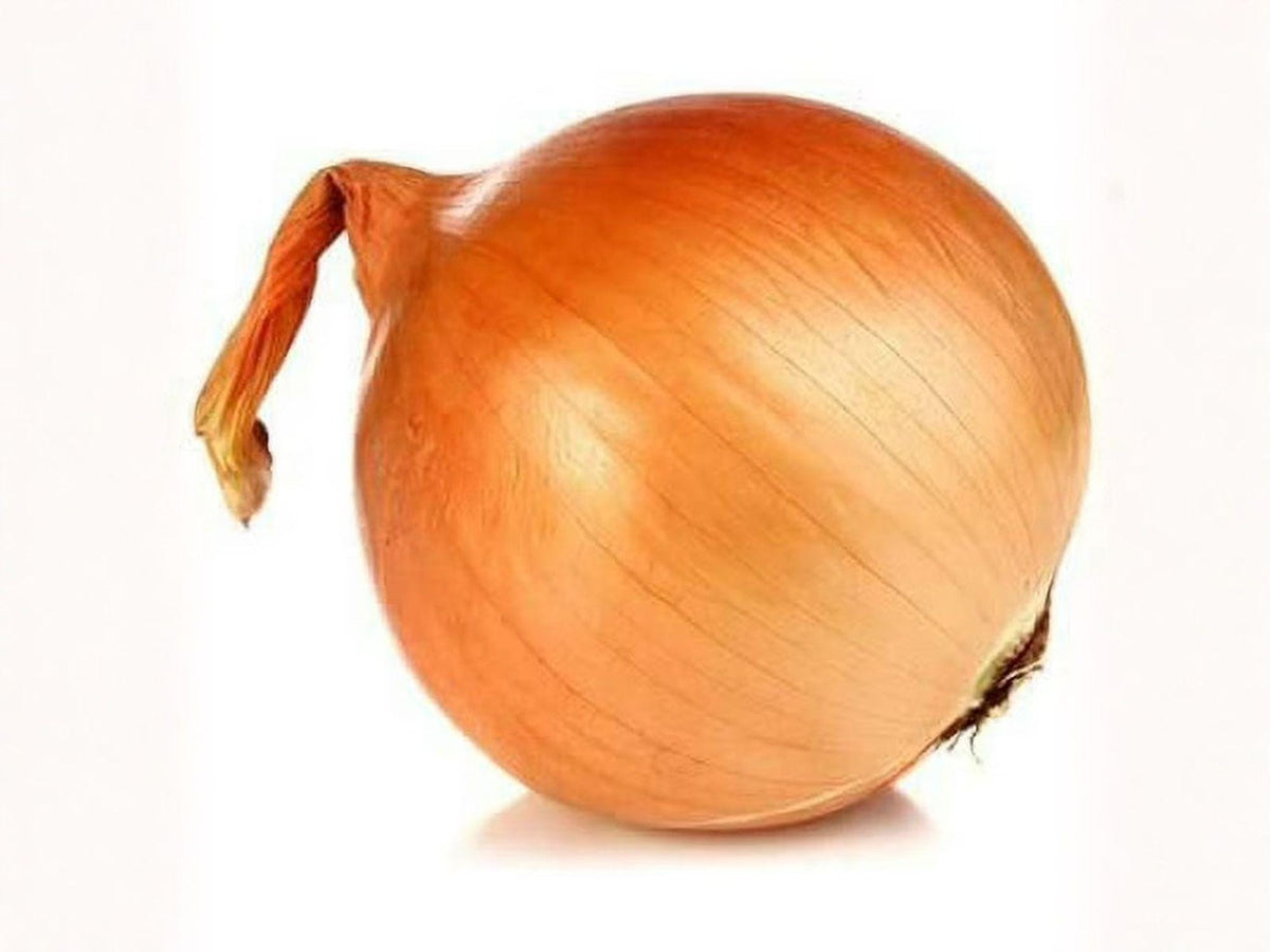 Texas Grano 502 Onion Seeds – 50 Sweet Yellow Garden Seeds