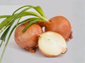 Sweet Spanish Colorado #6 Onion Seeds – 50 Large Yellow Storage Onions