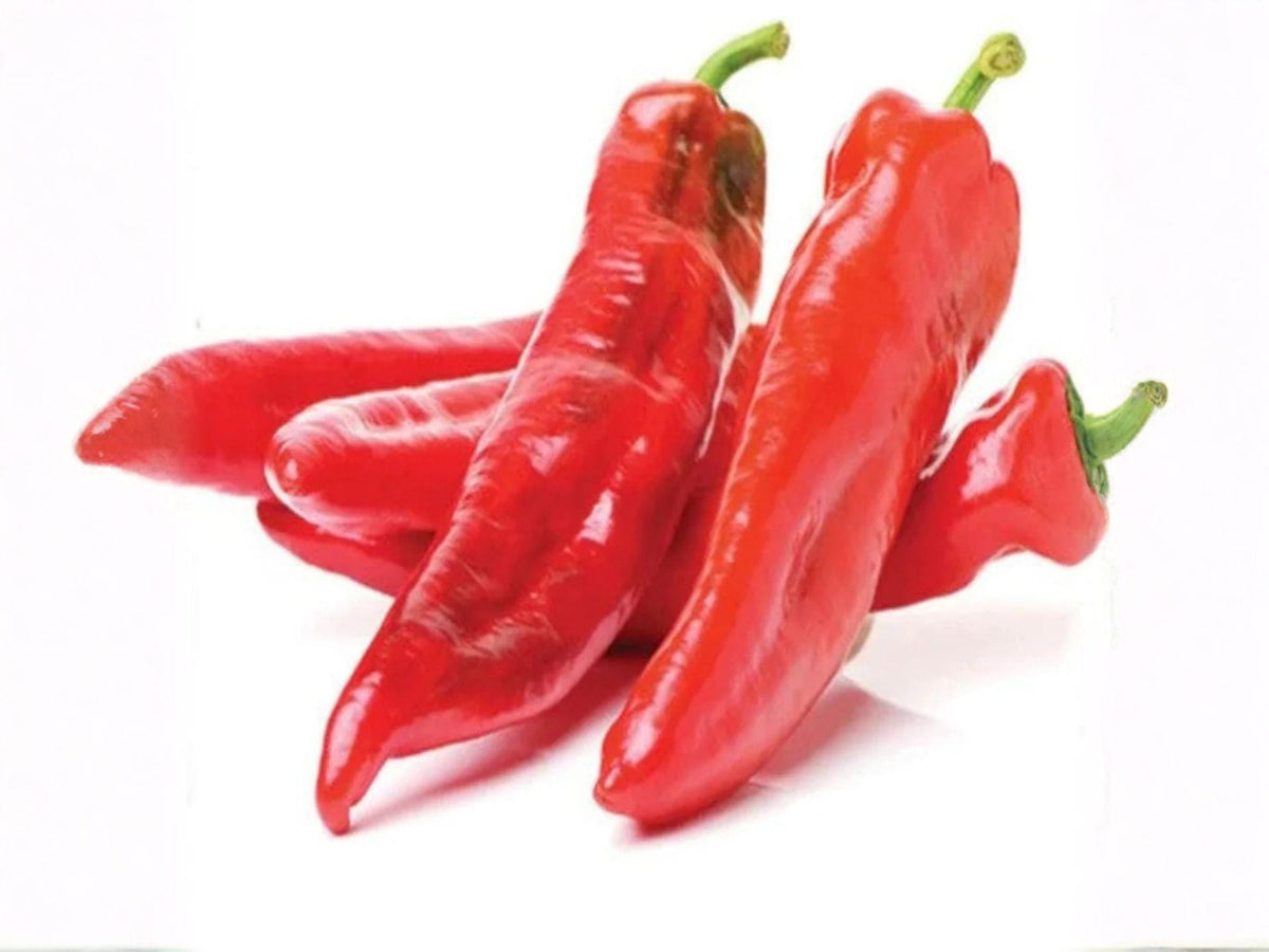 Hatch Giuzeppi Hot Pepper Seeds – 25 Heirloom Southwest Chili Seeds for Roasting