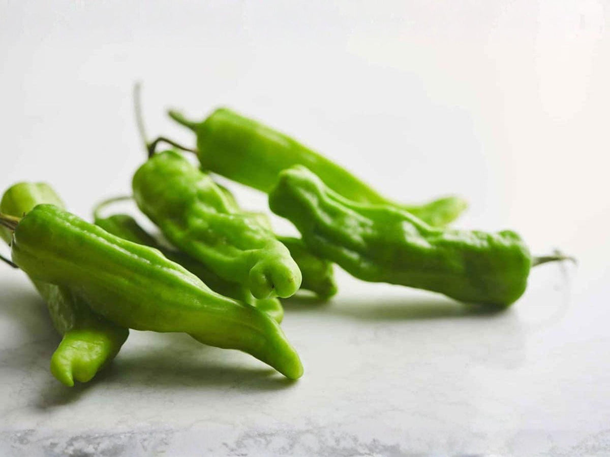 25 Heirloom Shishito Pepper Seeds – Japanese Frying Pepper, Mild Heat, High Yield