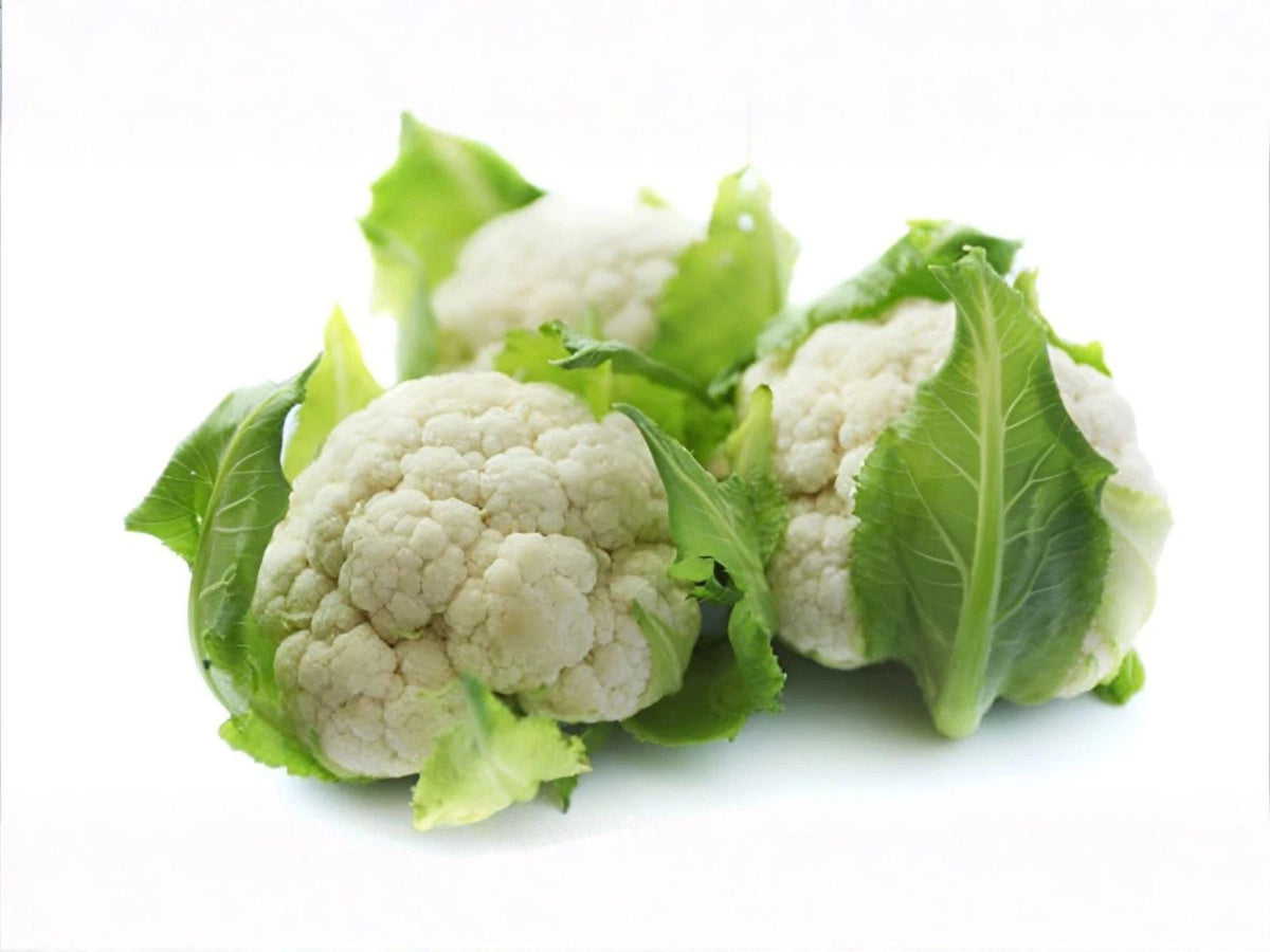 Self Blanching Cauliflower Seeds – 500 Heirloom White Cauliflower, Cold Hardy Fall Garden Crop