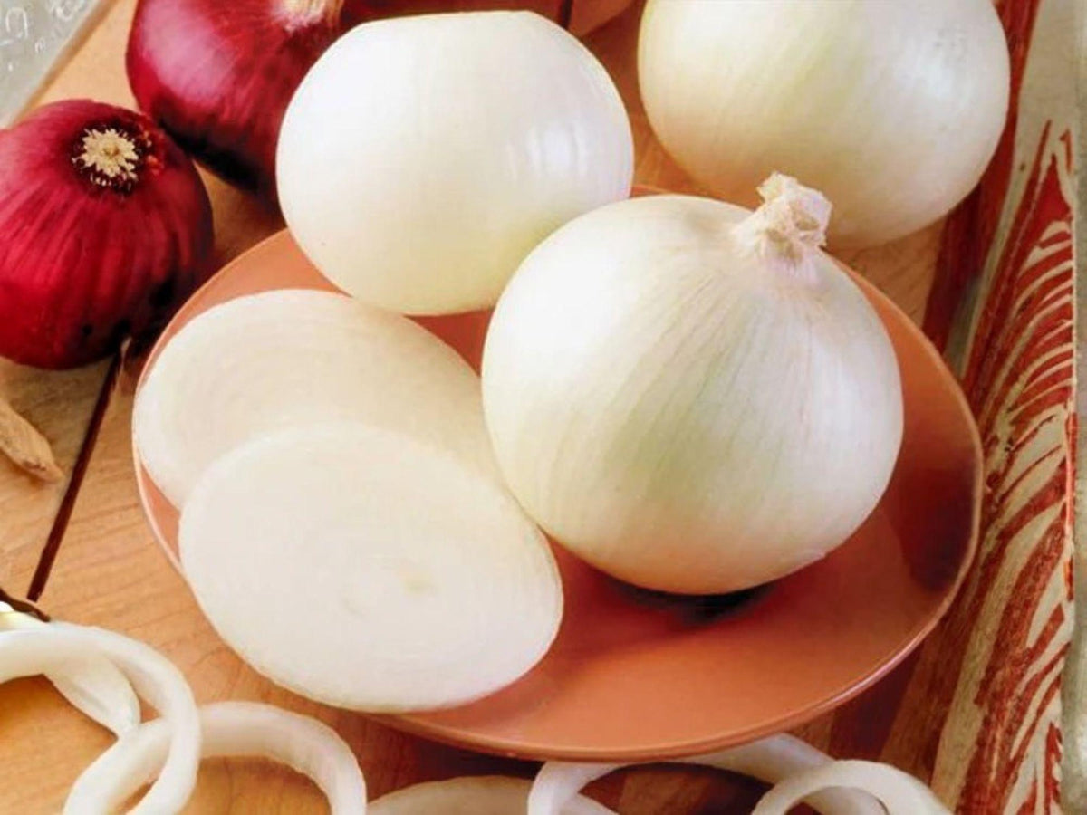 Ringmaster Onion Seeds – 50 Heirloom Long Day Sweet White Bulb Onion Seeds for Planting